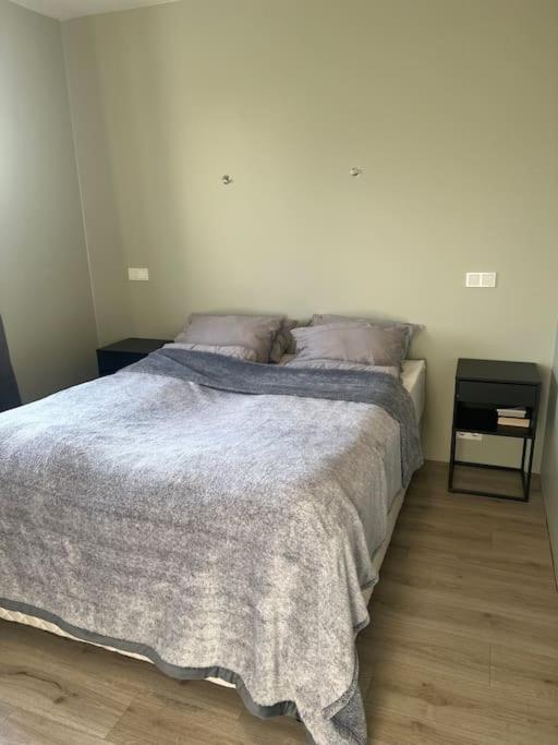 شقة سيلفوس  في Golden Circle House 1 المظهر الخارجي الصورة
